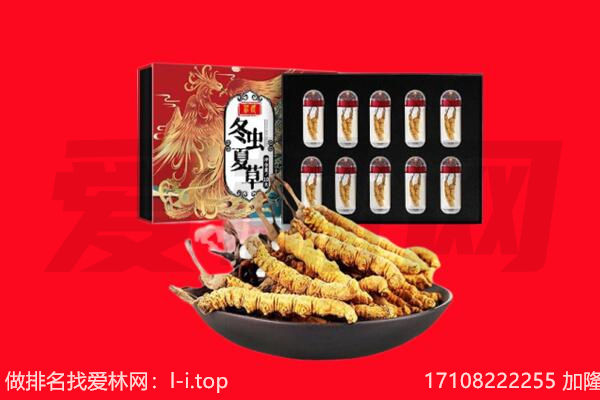 郓城县回收虫草.jpg